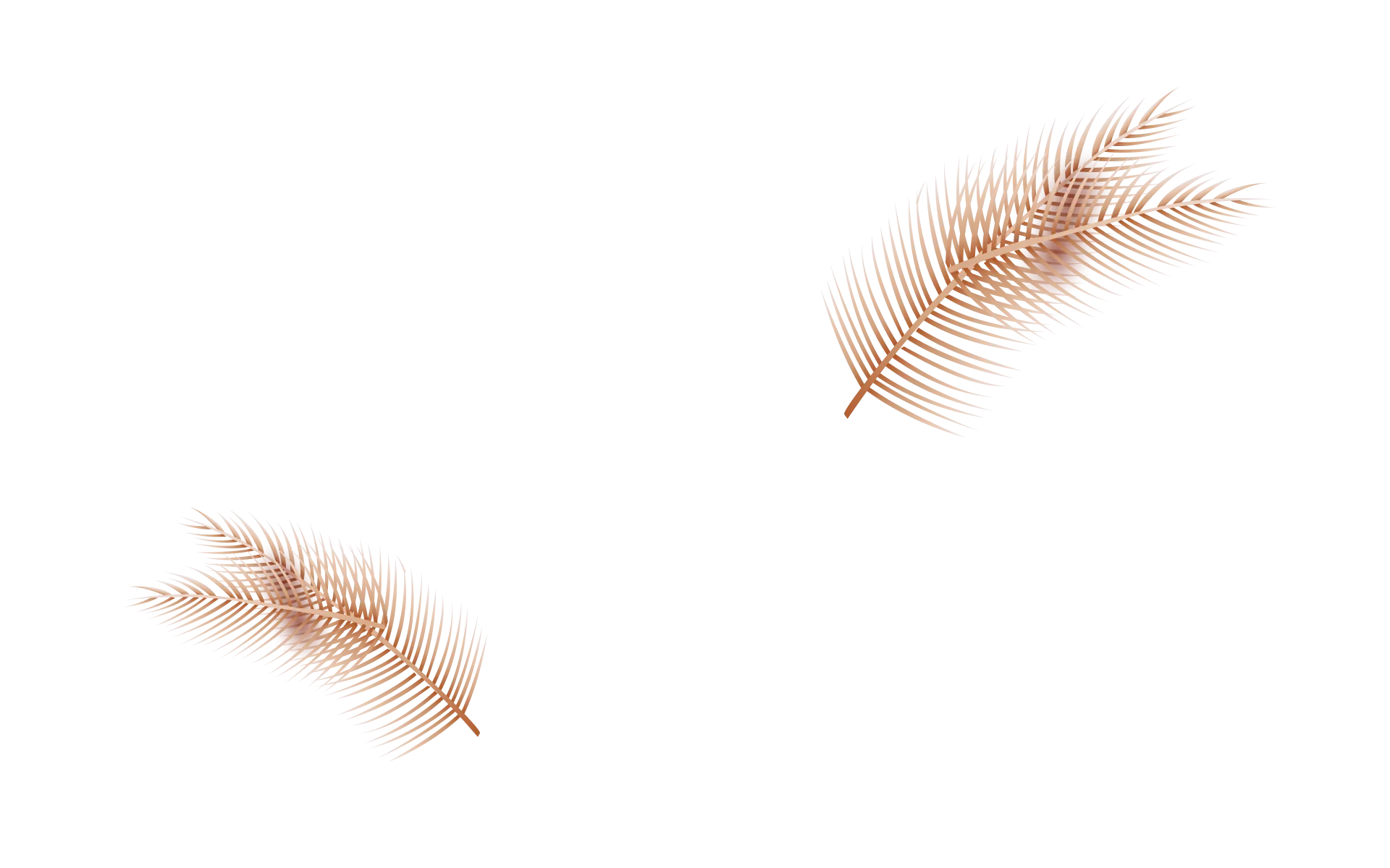 wedding3-section-bg4